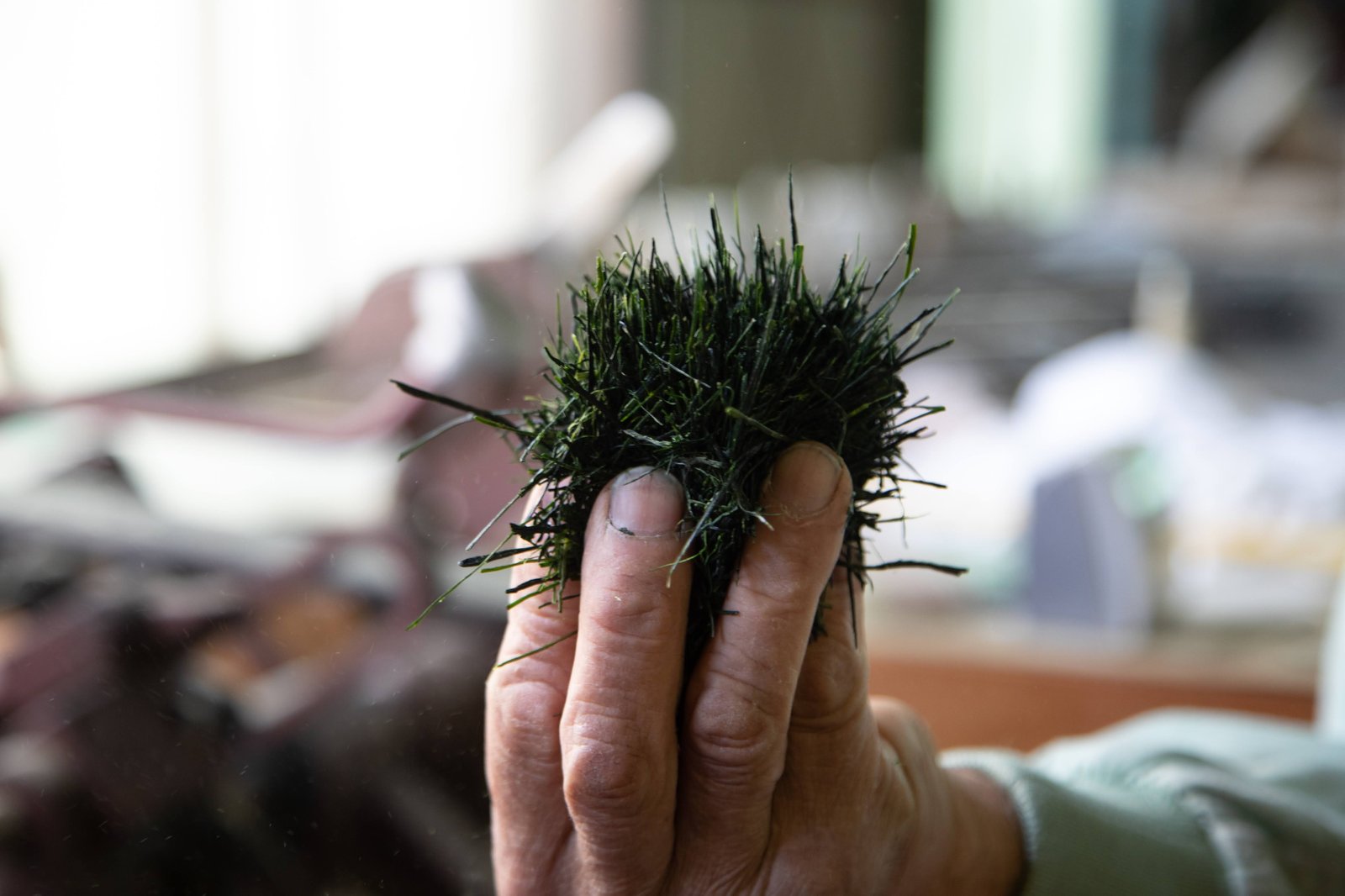 Finished gyokuro leaf in the master's hand